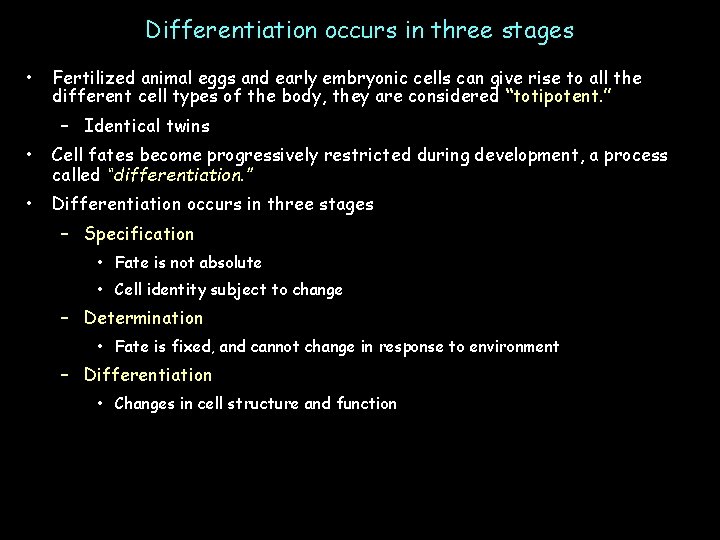 Differentiation occurs in three stages • Fertilized animal eggs and early embryonic cells can