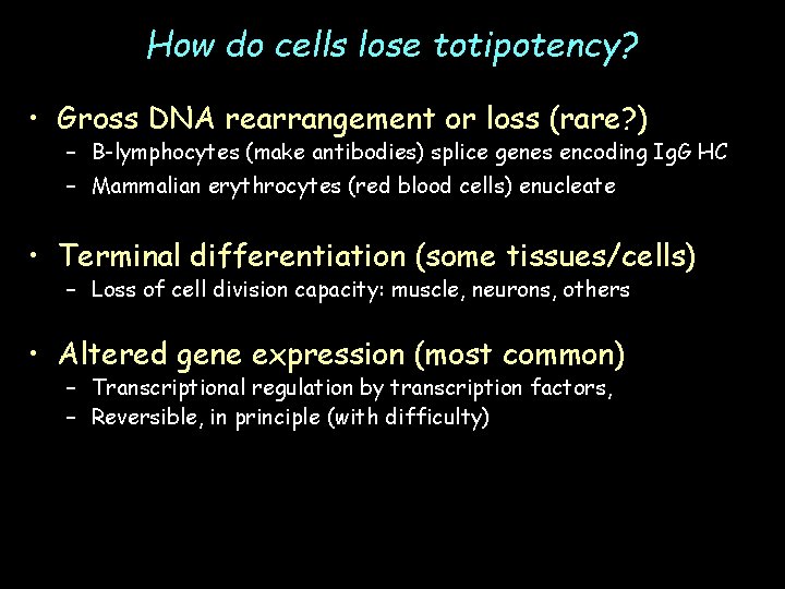How do cells lose totipotency? • Gross DNA rearrangement or loss (rare? ) –