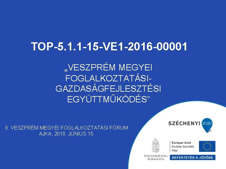 TOP-5. 1. 1 -15 -VE 1 -2016 -00001 „VESZPRÉM MEGYEI FOGLALKOZTATÁSIGAZDASÁGFEJLESZTÉSI EGYÜTTMŰKÖDÉS” II. VESZPRÉM