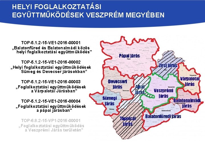 HELYI FOGLALKOZTATÁSI EGYÜTTMŰKÖDÉSEK VESZPRÉM MEGYÉBEN TOP-5. 1. 2 -15 -VE 1 -2016 -00001 „Balatonfüred