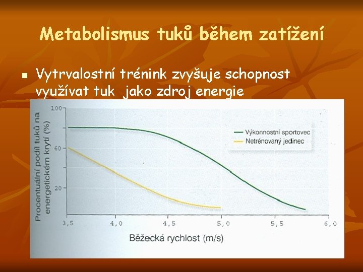 Metabolismus tuků během zatížení n Vytrvalostní trénink zvyšuje schopnost využívat tuk jako zdroj energie