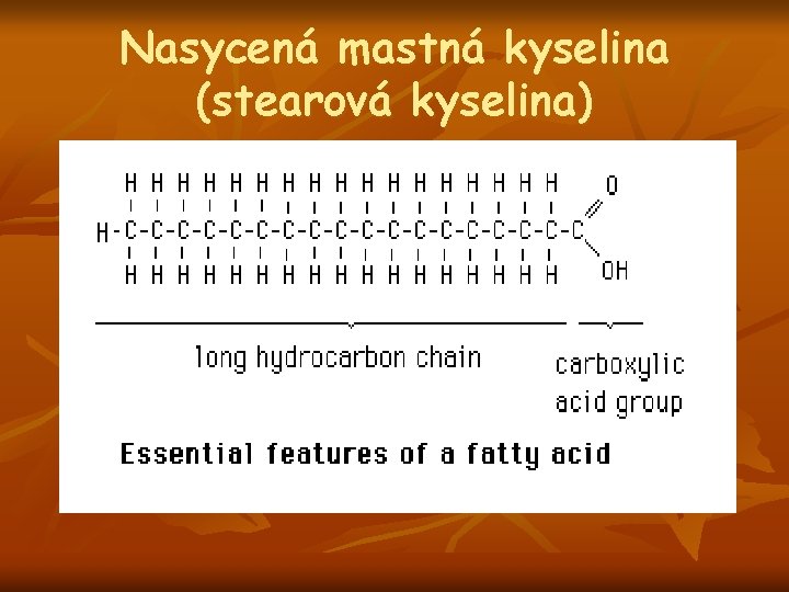 Nasycená mastná kyselina (stearová kyselina) 