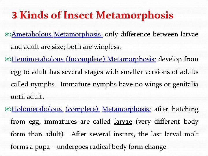 3 Kinds of Insect Metamorphosis Ametabolous Metamorphosis: only difference between larvae and adult are