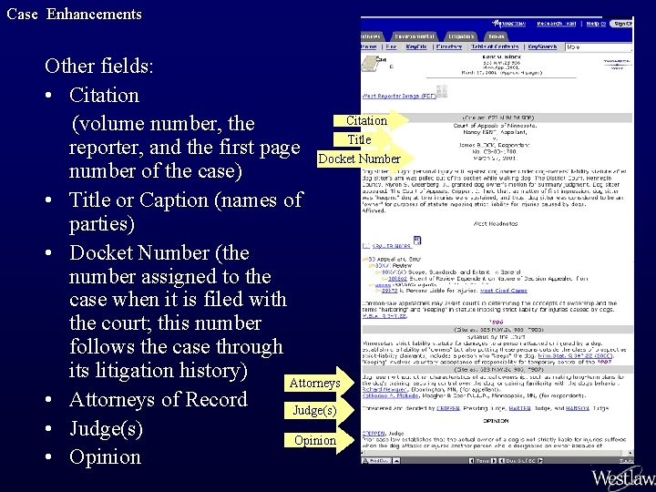 Case Enhancements Other fields: • Citation (volume number, the reporter, and the first page