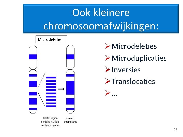 Ook kleinere chromosoomafwijkingen: Microdeletie Ø Microdeleties Ø Microduplicaties Ø Inversies Ø Translocaties Ø… 29