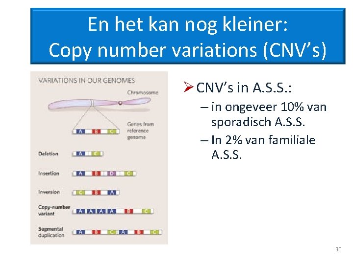 En het kan nog kleiner: Copy number variations (CNV’s) Ø CNV’s in A. S.