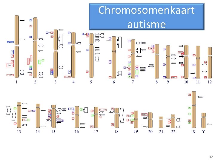 Chromosomenkaart autisme 32 