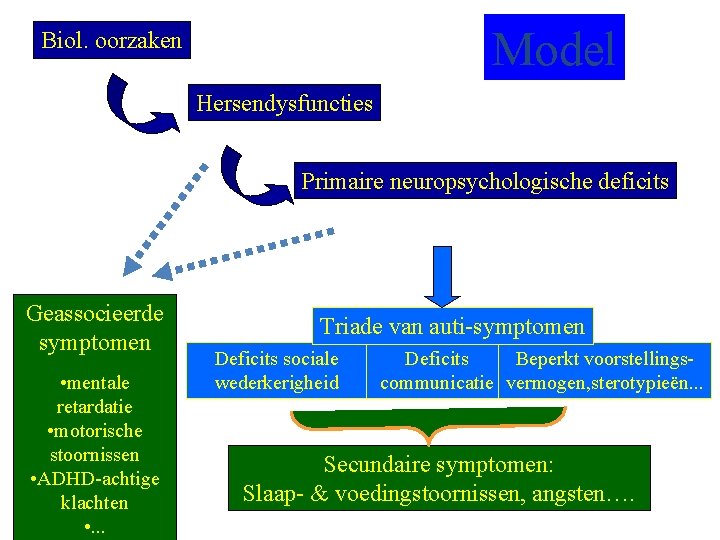 Model Biol. oorzaken Hersendysfuncties Primaire neuropsychologische deficits Geassocieerde symptomen • mentale retardatie • motorische