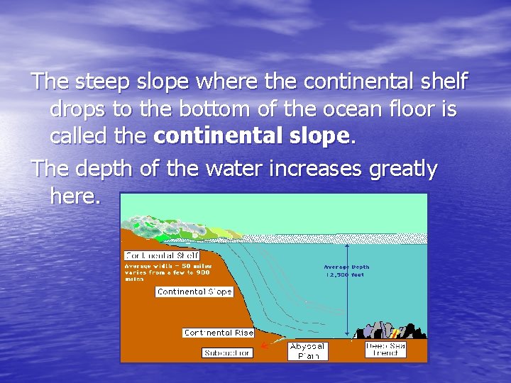 The steep slope where the continental shelf drops to the bottom of the ocean