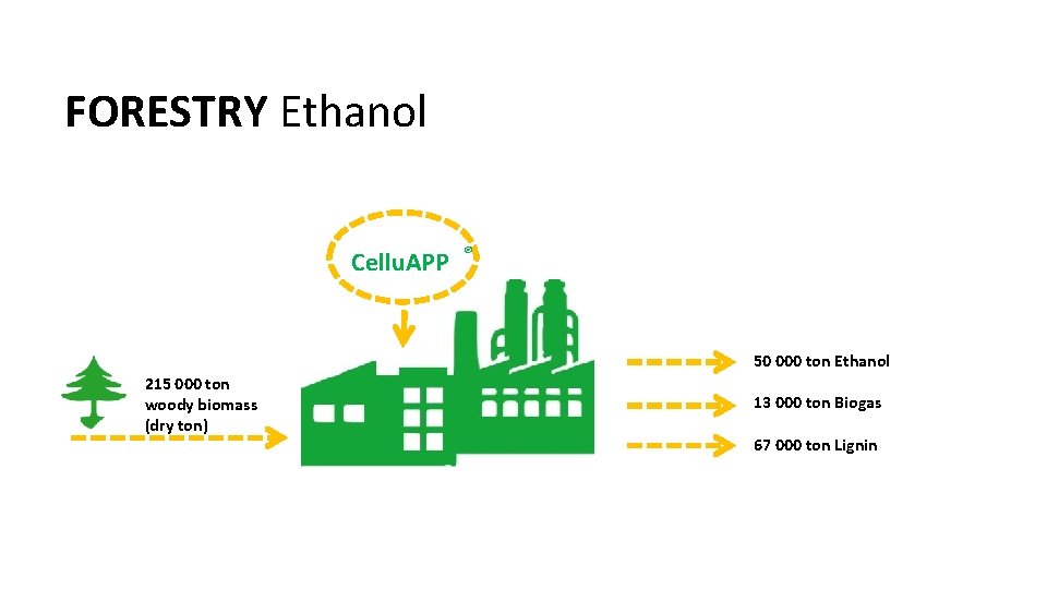FORESTRY Ethanol Cellu. APP ® 50 000 ton Ethanol 215 000 ton woody biomass