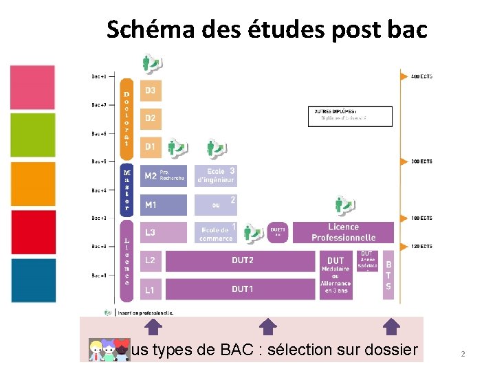 Schéma des études post bac Tous types de BAC : sélection sur dossier 2