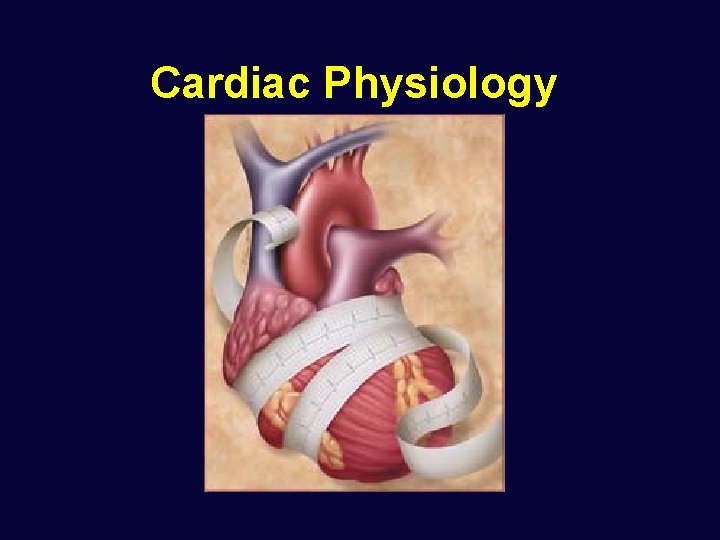 Cardiac Physiology 