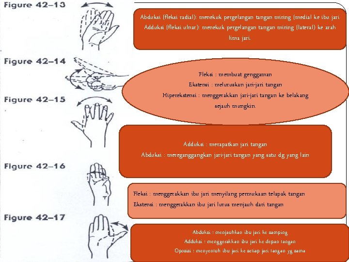 Rom Definisi Mobilisasi Kemampuan Seseorang Untuk Bergerak Dgn