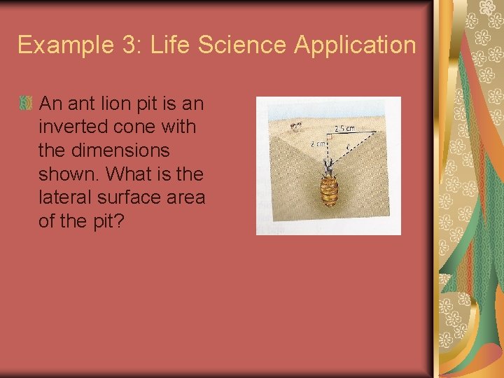 Example 3: Life Science Application An ant lion pit is an inverted cone with