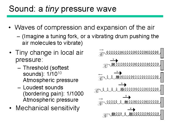 Sound: a tiny pressure wave • Waves of compression and expansion of the air