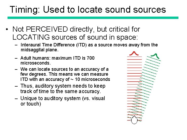 Timing: Used to locate sound sources • Not PERCEIVED directly, but critical for LOCATING