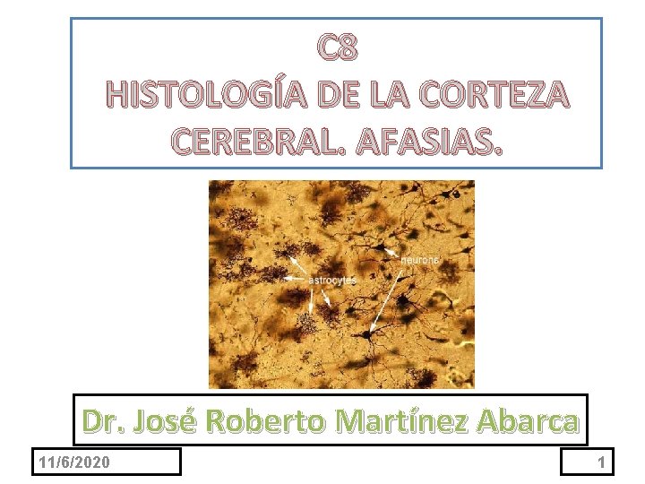 C 8 HISTOLOGÍA DE LA CORTEZA CEREBRAL. AFASIAS. Dr. José Roberto Martínez Abarca 11/6/2020
