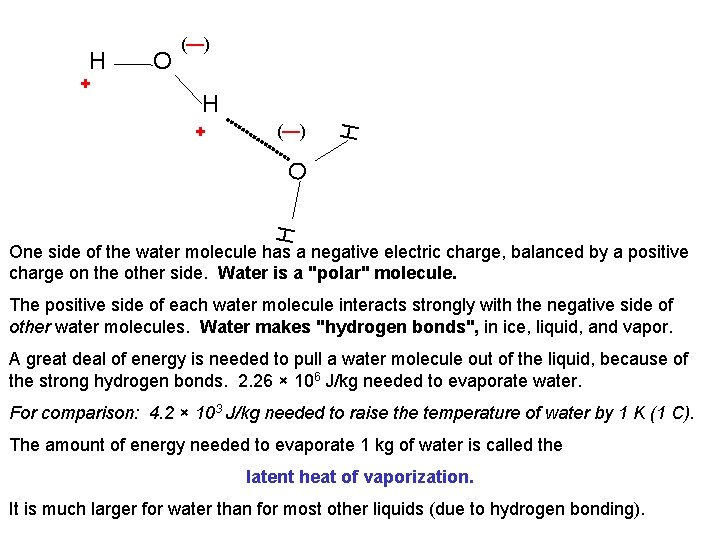 + O H (—) H O + H H (—) One side of the