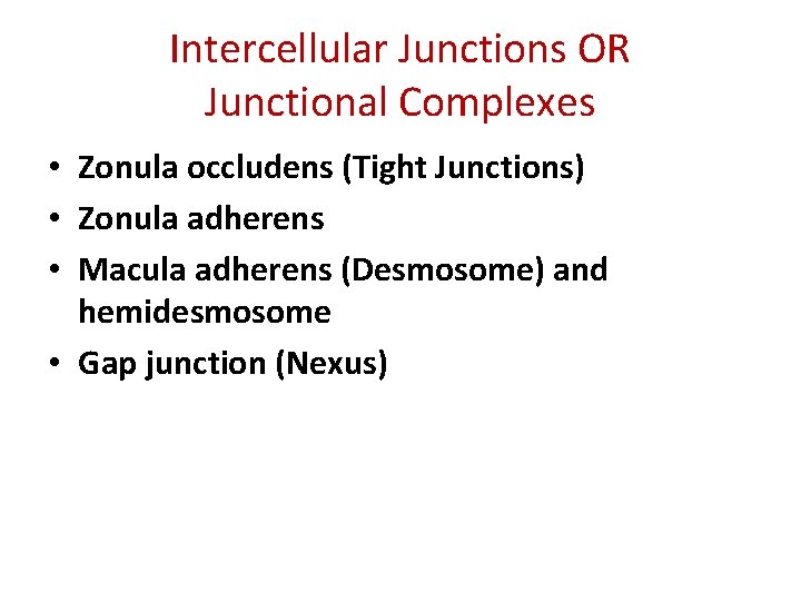 Intercellular Junctions OR Junctional Complexes • Zonula occludens (Tight Junctions) • Zonula adherens •