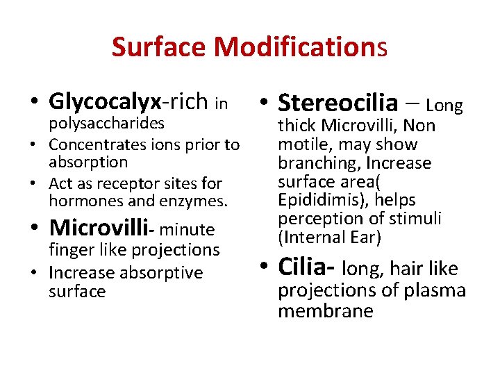Surface Modifications • Glycocalyx-rich in polysaccharides • Concentrates ions prior to absorption • Act