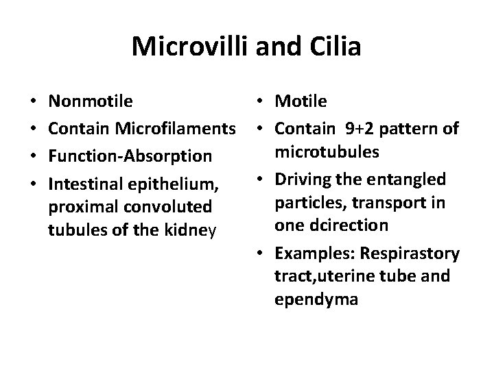Microvilli and Cilia • • Nonmotile Contain Microfilaments Function-Absorption Intestinal epithelium, proximal convoluted tubules