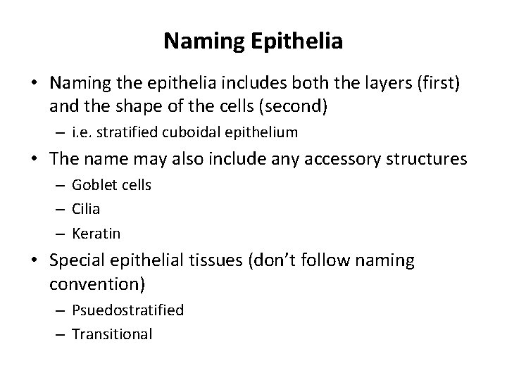 Naming Epithelia • Naming the epithelia includes both the layers (first) and the shape