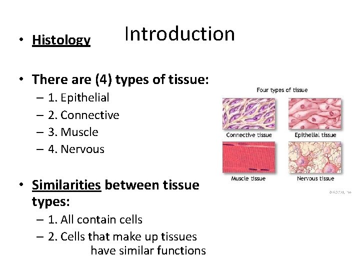  • Histology Introduction • There are (4) types of tissue: – 1. Epithelial