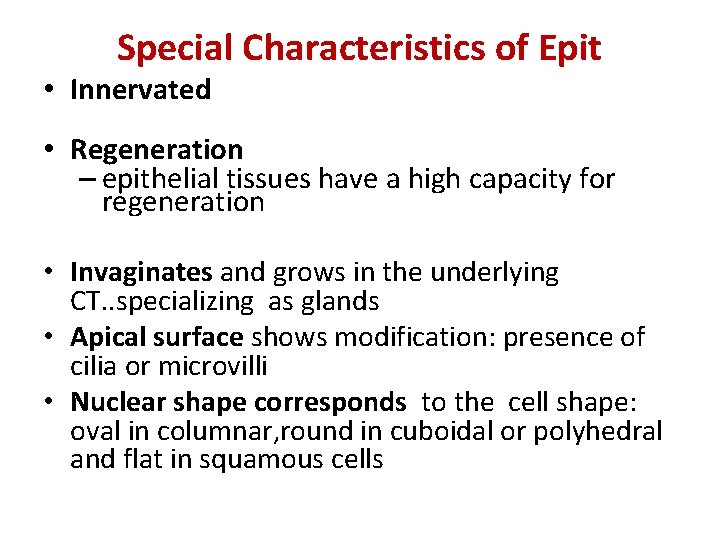 Special Characteristics of Epit • Innervated • Regeneration – epithelial tissues have a high