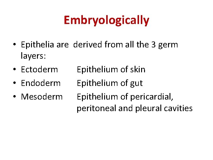 Embryologically • Epithelia are layers: • Ectoderm • Endoderm • Mesoderm derived from all