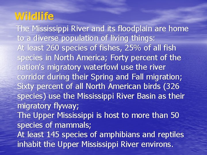 Wildlife The Mississippi River and its floodplain are home to a diverse population of