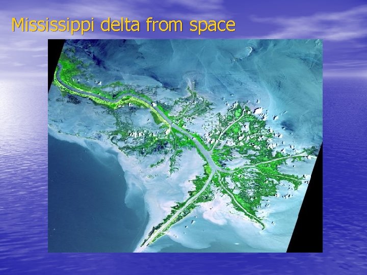 Mississippi delta from space 