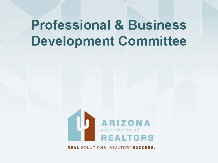 Professional & Business Development Committee 