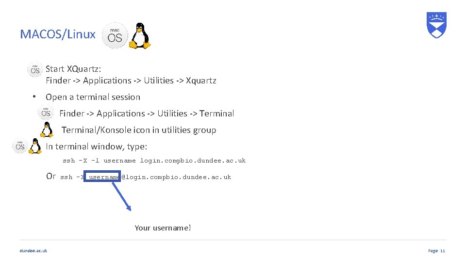 MACOS/Linux • Start XQuartz: Finder -> Applications -> Utilities -> Xquartz • Open a MACOS/Linux • Start XQuartz: Finder -> Applications -> Utilities -> Xquartz • Open a