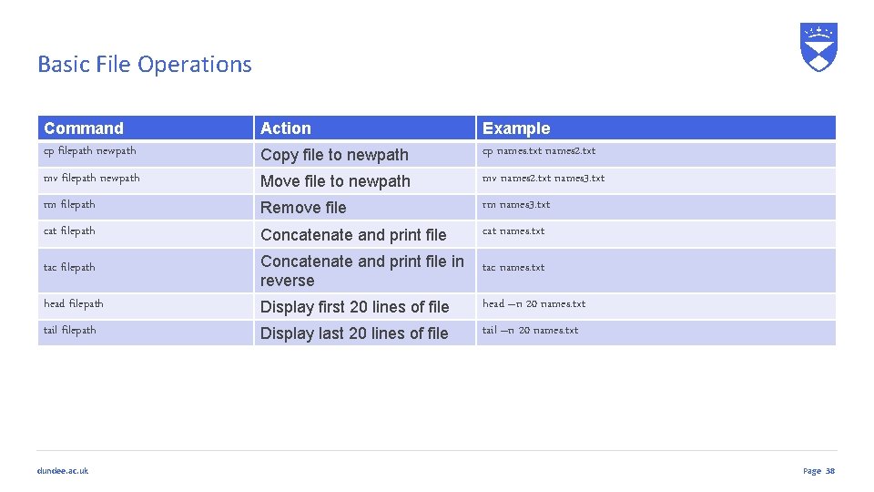 Basic File Operations Command cp filepath newpath Action Copy file to newpath Example cp Basic File Operations Command cp filepath newpath Action Copy file to newpath Example cp