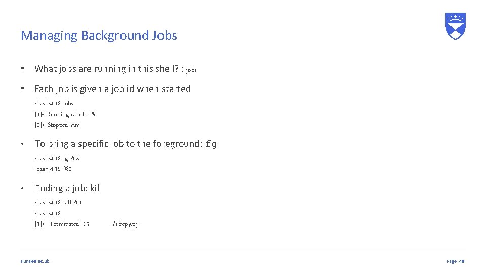 Managing Background Jobs • What jobs are running in this shell? : jobs • Managing Background Jobs • What jobs are running in this shell? : jobs •