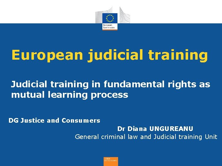 European judicial training Judicial training in fundamental rights as mutual learning process DG Justice