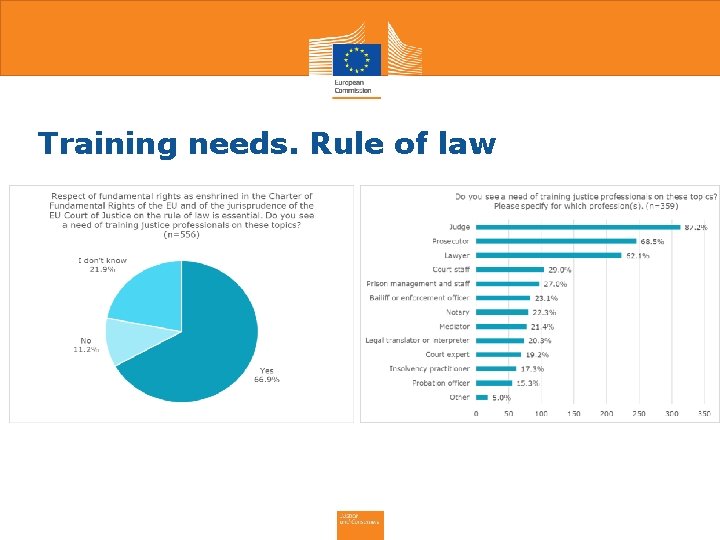 Training needs. Rule of law 