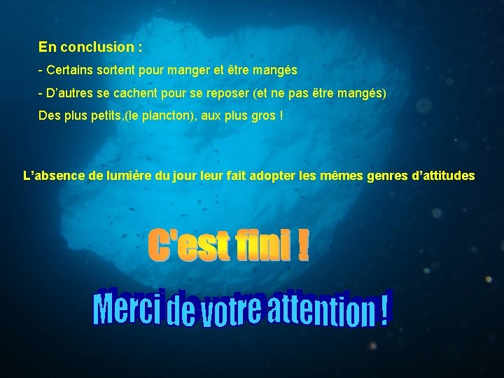 En conclusion : - Certains sortent pour manger et être mangés - D’autres se