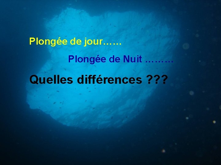 Plongée de jour…… Plongée de Nuit ……… Quelles différences ? ? ? 