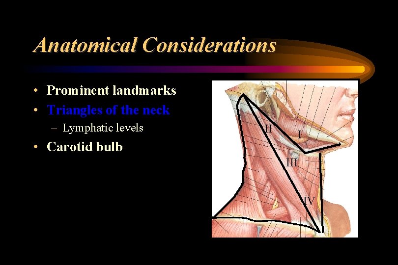 Anatomical Considerations • Prominent landmarks • Triangles of the neck – Lymphatic levels •