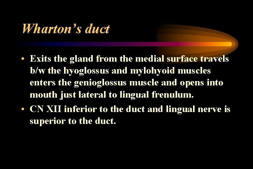 Wharton’s duct • Exits the gland from the medial surface travels b/w the hyoglossus