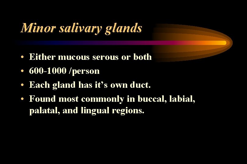 Minor salivary glands • • Either mucous serous or both 600 -1000 /person Each