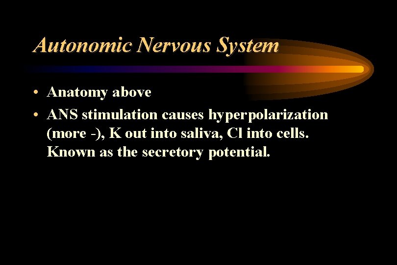 Autonomic Nervous System • Anatomy above • ANS stimulation causes hyperpolarization (more -), K