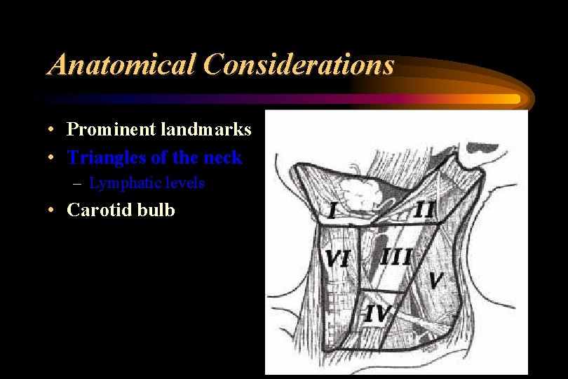 Anatomical Considerations • Prominent landmarks • Triangles of the neck – Lymphatic levels •