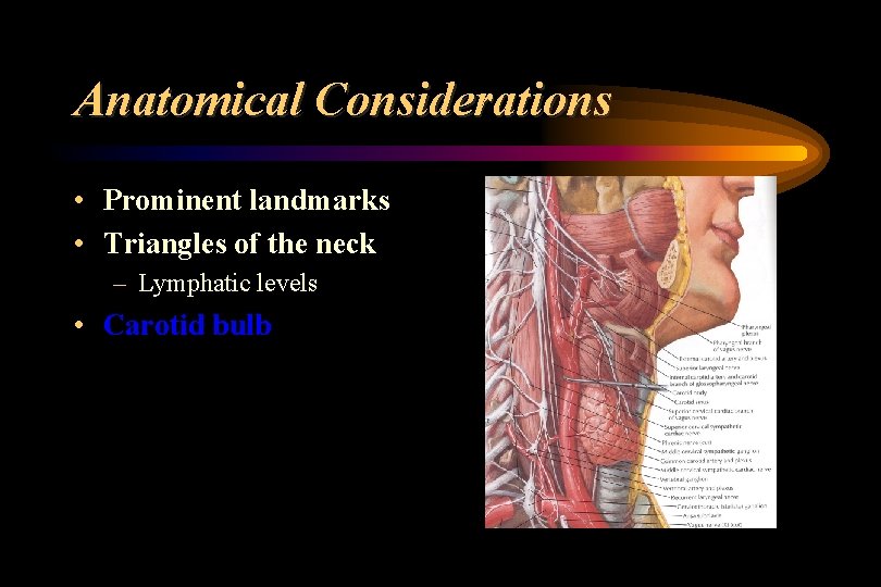 Anatomical Considerations • Prominent landmarks • Triangles of the neck – Lymphatic levels •