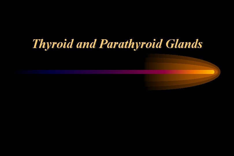 Thyroid and Parathyroid Glands 