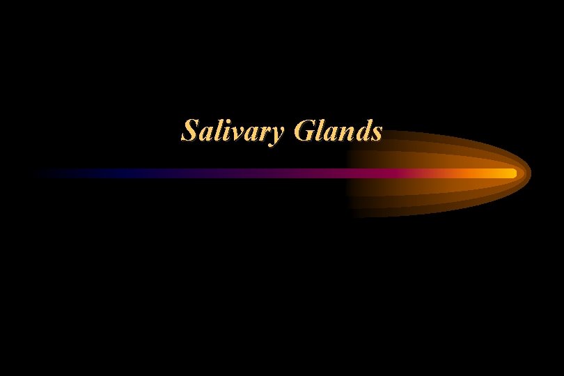 Salivary Glands 