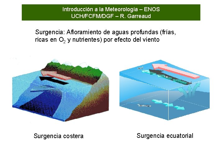 Introducción a la Meteorología – ENOS UCH/FCFM/DGF – R. Garreaud Surgencia: Afloramiento de aguas
