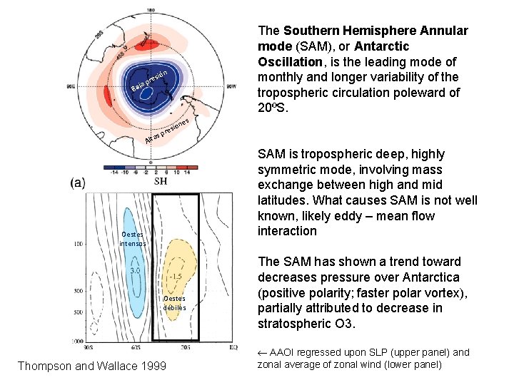 n ió res ja p Ba as Alt The Southern Hemisphere Annular mode (SAM),