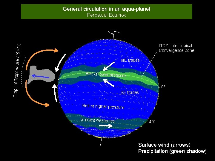 General circulation in an aqua-planet Perpetual Equinox Tropical Tropopa use (15 km) ITCZ: Intertropical